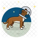 Space Dog Icon