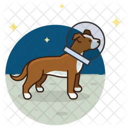 Space Dog  Icon