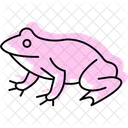 Spadefoot Toad Icon