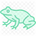 Spadefoot Toad Icon