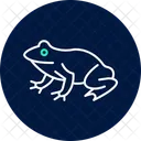 Spadefoot Toad Spadefoottoad Amphibian Icon