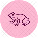 Spadefoot Toad Spadefoottoad Amphibian Icon