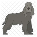 Spaniel Dog Puppy Icon