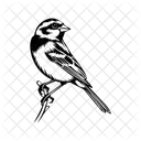 Sparrow Bird Dove Icon