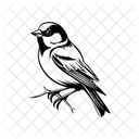 Sparrow Bird Dove Icon