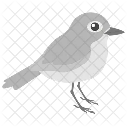 Sparrow  Icon