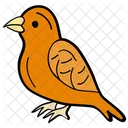 Sparrow Bird Passeridae Icon