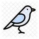 Sparrow Birds Dove Icon