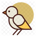 Sparrow Pet Animal Icon