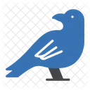 Sparrow Dove Bird Icon