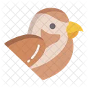 Sparrow Birds Bird Icon