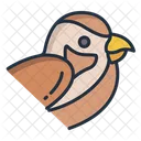 Sparrow Birds Bird Icon