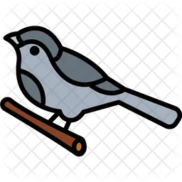 Sparrow  Icon