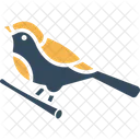 Sparrow Aviary Bird Icon