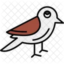 Sparrow Bird Flying Icon