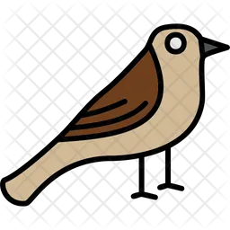 Sparrow  Icon