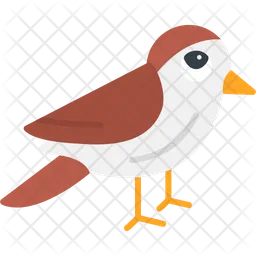 Sparrow  Icon