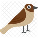 Sparrow Bird Flying Icon