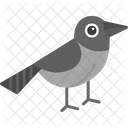 Sparrow Bird Flying Icon