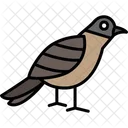 Sparrow Aviary Bird Icon