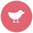 Sparrow Bird Dove Icon