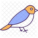 Sparrow Bird Redbreast Icon