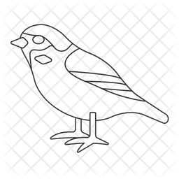 Sparrow  Icon