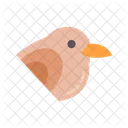 Sparrow  Icon