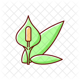 Spathiphyllum Icon