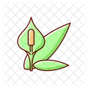 Spathiphyllum Peace Lilly Icon