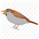 Spatz Hausfinken Vogel Symbol