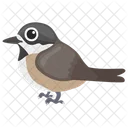 Spatzenvogel Symbol