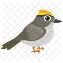 Spatzenvogel Symbol