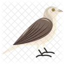 Sperlingsvogel Spatz Vogelgrippe Symbol