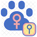 Spay Animal Gender Gender Icon
