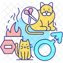 Spay and neuter pet  Icon