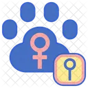 Spay Animal Gender Gender Icon