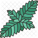 Spearmint Leaf Herb Icon