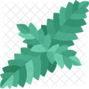 Spearmint Leaf Herb Icon