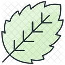 Spearmint  Icon