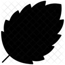 Spearmint  Icon