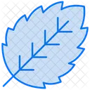 Spearmint  Icon