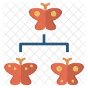 Species Butterfly Type Icon