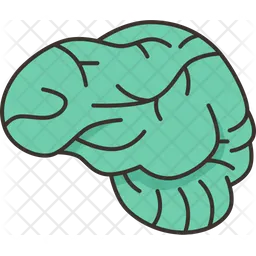 Spect  Icon