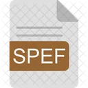 Spef File Format Icon