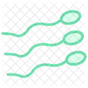 Sperm Color Outline Icon Icon