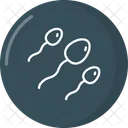 Sperm Icon