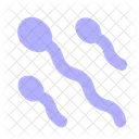 Sperm Genetics Sperms Icon