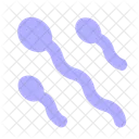 Sperm  Icon