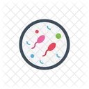 Sperm Fertilization Semen Icon